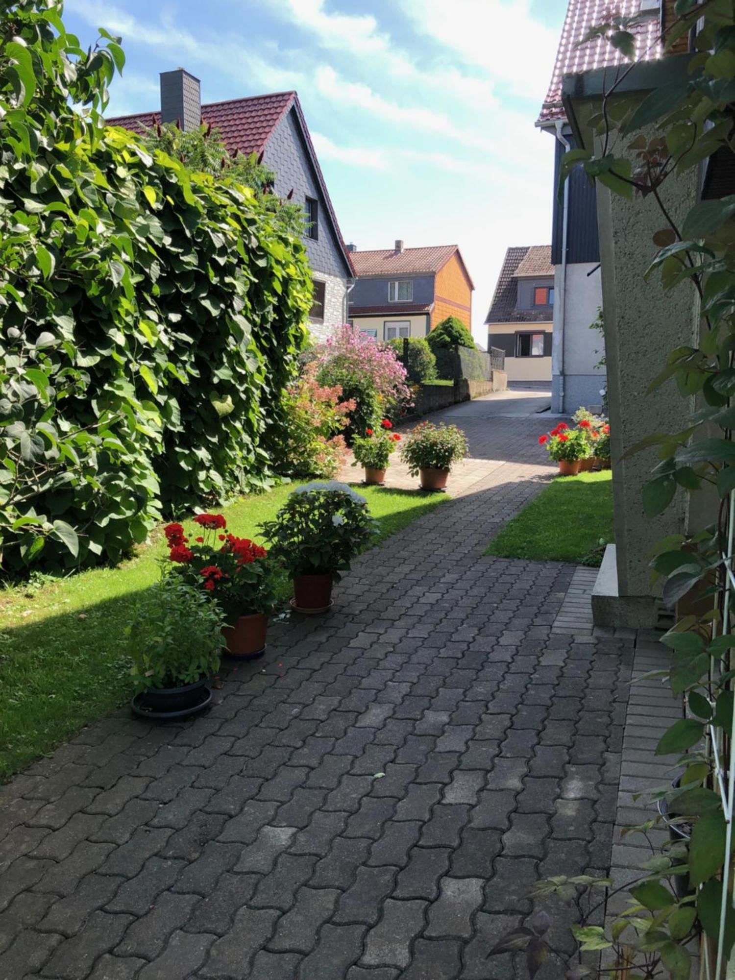 Apartamento Harzquerbahnblick Benneckenstein Exterior foto