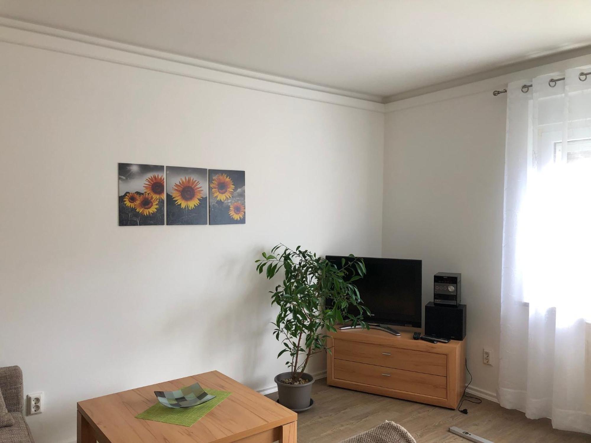 Apartamento Harzquerbahnblick Benneckenstein Exterior foto